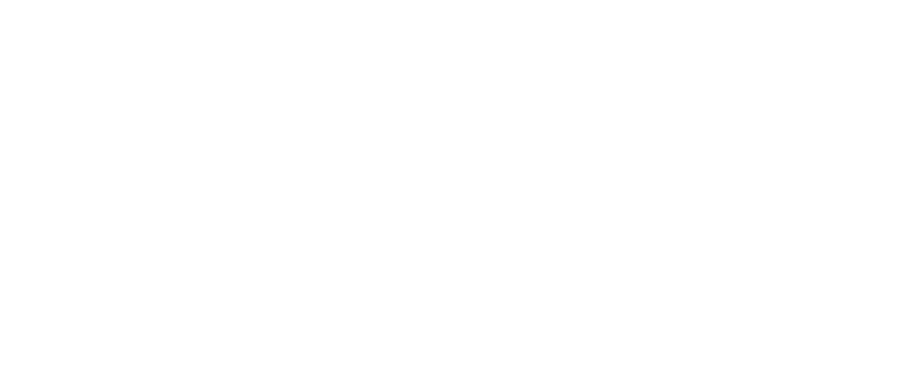 ORLEN Serwis